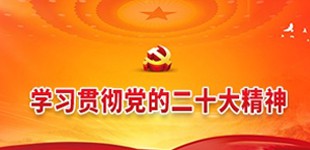 学习贯彻党的二十大心灵